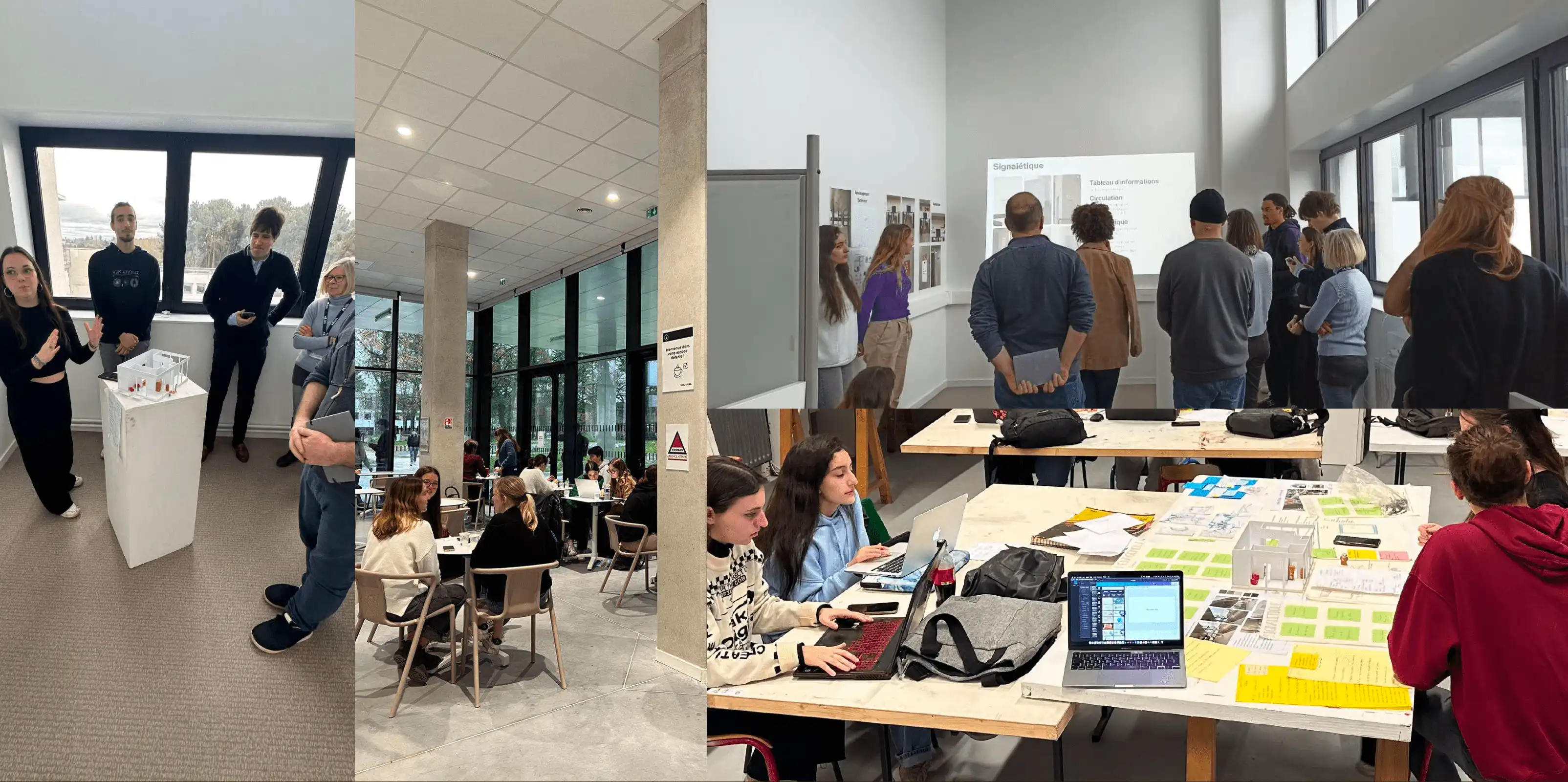 Plan de restitution des recherches et propositions de design